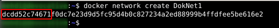 DockerCreateNet